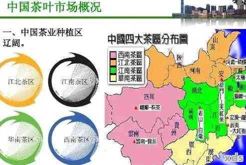 普洱茶区域排行榜：揭示各大的市场地位