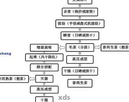 普洱茶与厌氧发酵：掌握适宜条件的关键因素