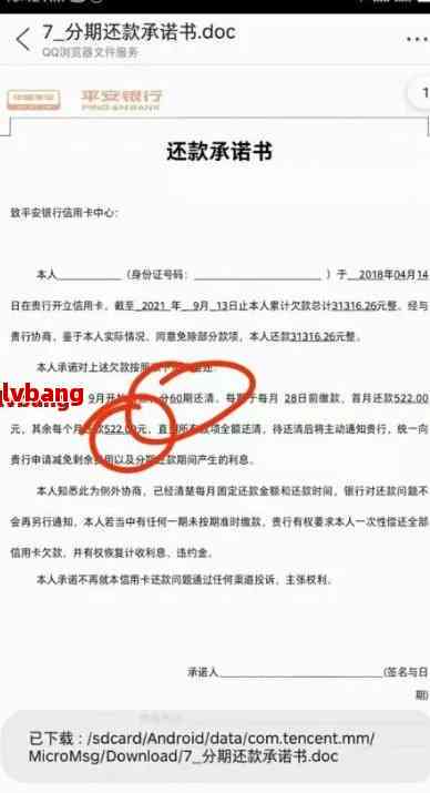 协商还款情况说明怎么写模板范文