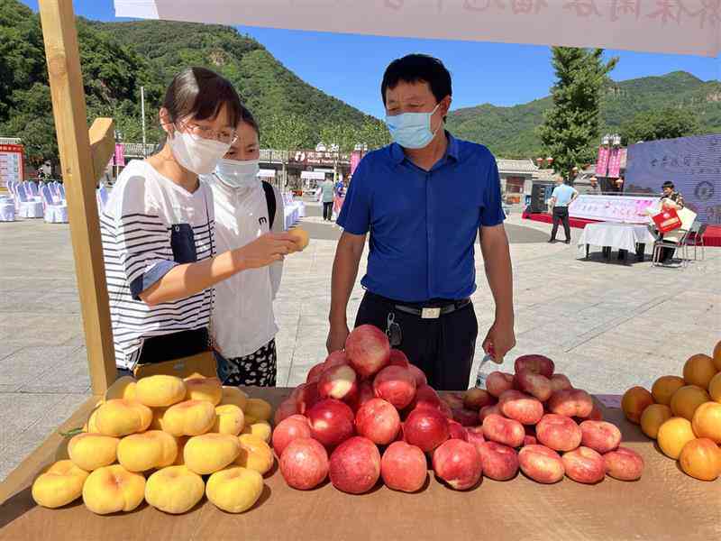 普洱茶与桃子同食的安全性及可能的影响：解答关于这两种食物搭配的相关疑问