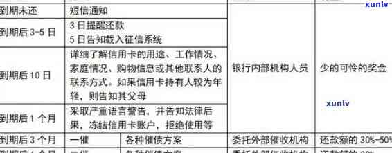 新信用卡逾期解决方案：关键步骤与建议