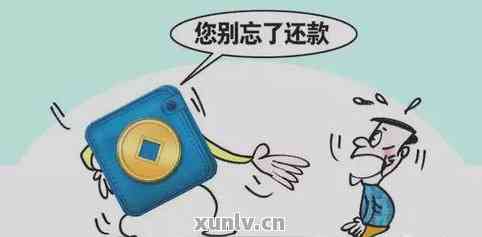 '第二次失信还款方式选择：全额还是协商后的还款？'