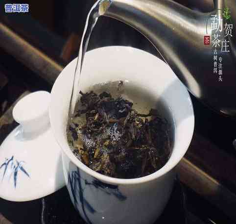 云南特产阿黑普洱茶：品鉴与活动资讯