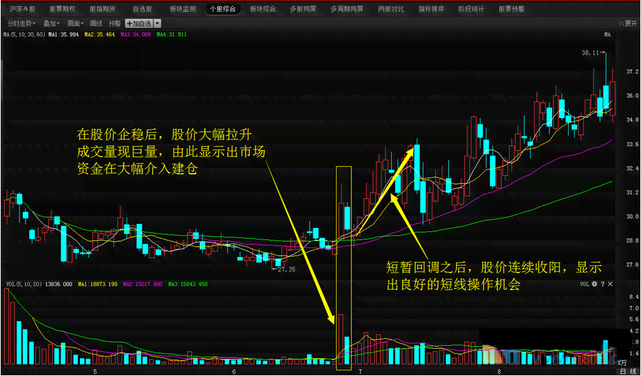 普洱茶投资策略：巨量资金如何在市场中精准投放