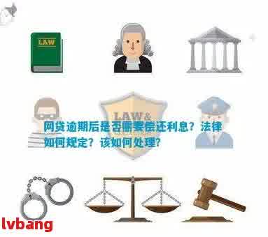 逾期还款网贷是否违法？探讨相关法律责任及解决方案