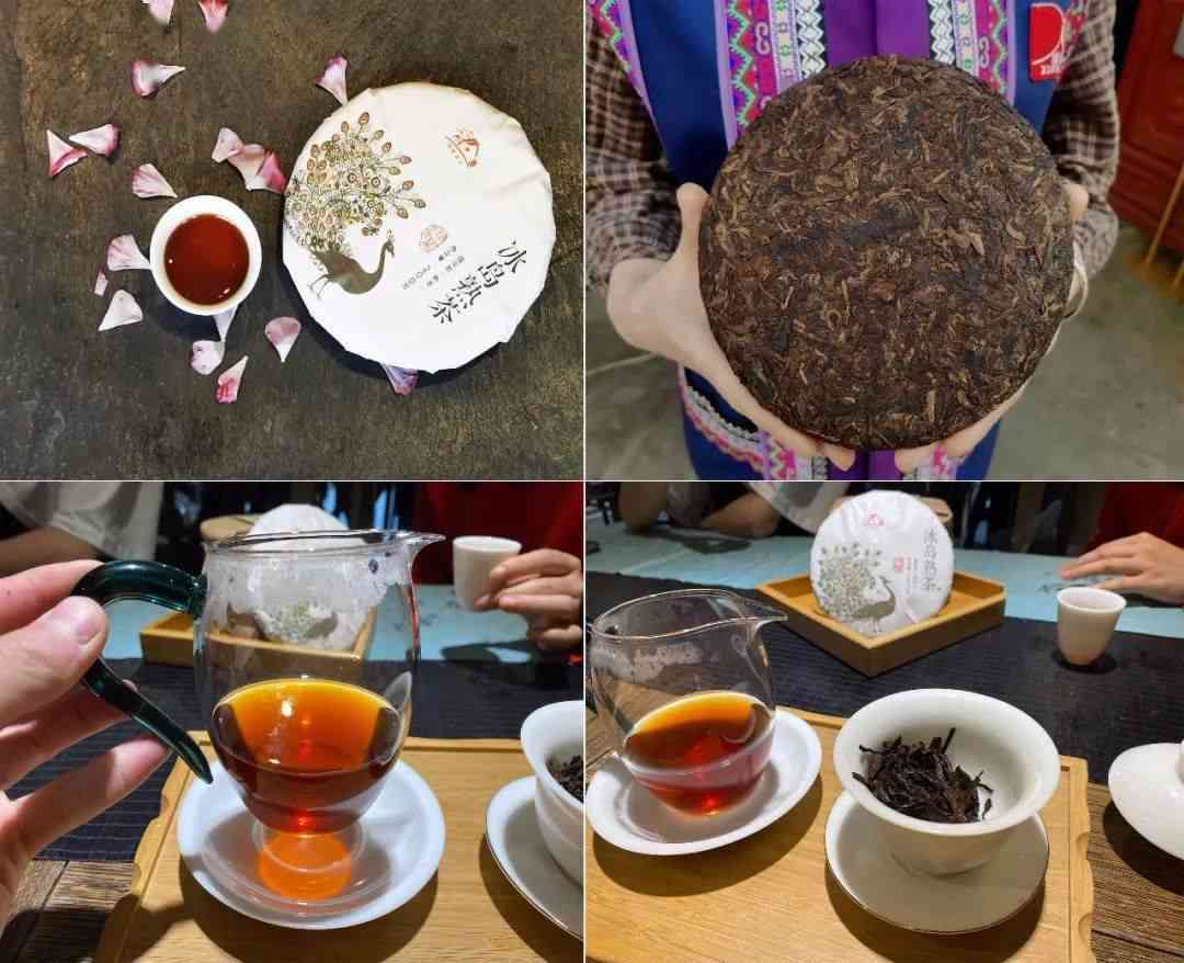 普洱茶,切忌不懂装懂-普洱 茶