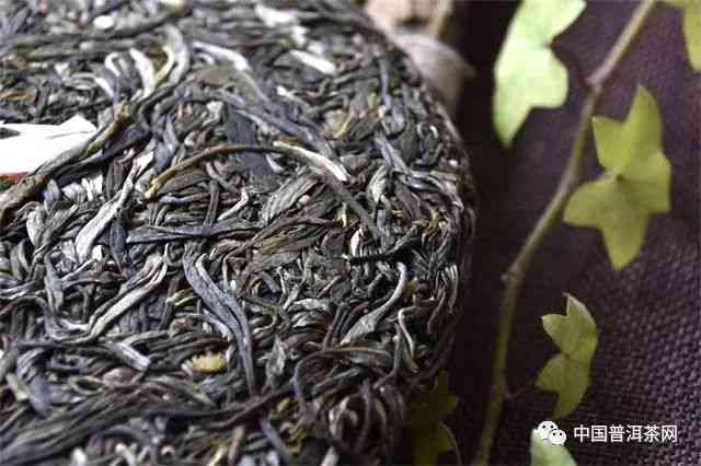 普洱茶品种与口感的对比分析：从古树红茶到生茶熟茶