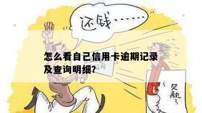 如何查看信用卡过去逾期次数明细