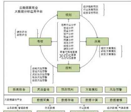 普洱茶供应链管理：优化流通环节以提升效率与质量