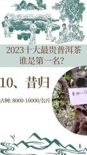 2023年古树普洱茶春茶价格走势分析：预测未来的市场行情。