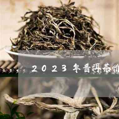 2023年古树普洱茶春茶价格走势分析：预测未来的市场行情。