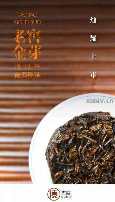 普洱茶宫廷金芽：品种特点、制作工艺与品饮技巧全面解析