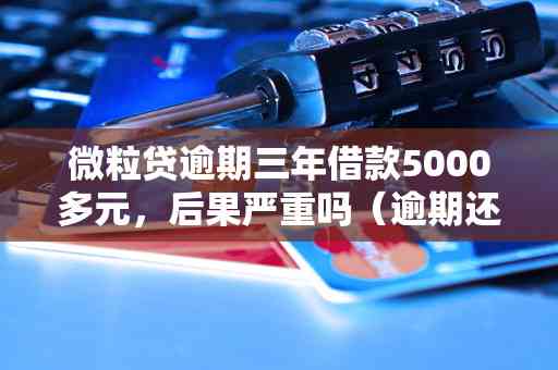 网贷逾期5000元未还会面临哪些后果？如何解决逾期问题和避免信用损失？