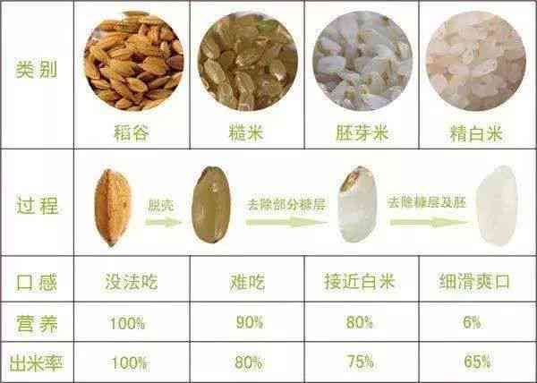 准格尔旗大米：品种、产地、营养价值与制作方法全面解析