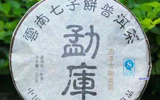 七子普洱茶饼价格查询：每个、每斤、每盒、每克多少钱？