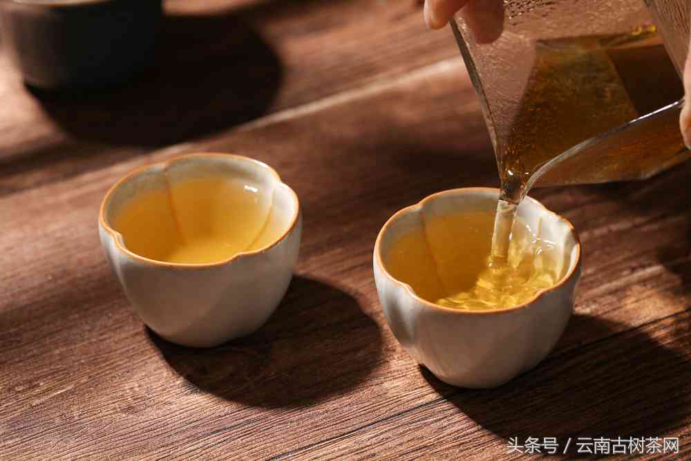 发霉普洱茶饼：掌握有效处理与解决方法，避免浪费好茶