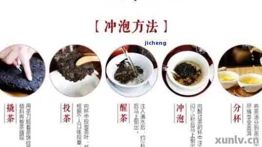 醇普洱茶珍的冲法：价格、功效与制作要点