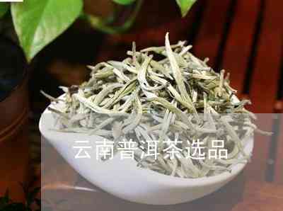 云南普洱茶官方旗舰店罐装散茶品种及汇总