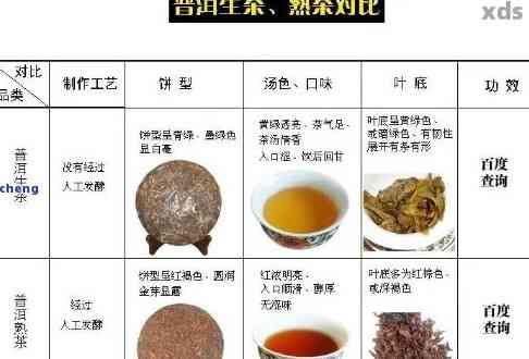 探究普洱茶的独特之处及其与其他茶叶的明显差别