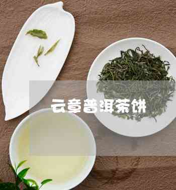 云馨普洱茶