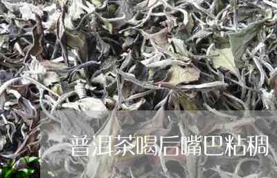 普洱茶熟茶喝到嘴巴里就下去