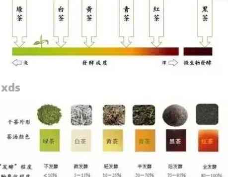 普洱茶行业术语详解：从茶叶香气到生茶特殊品种的全方位解析