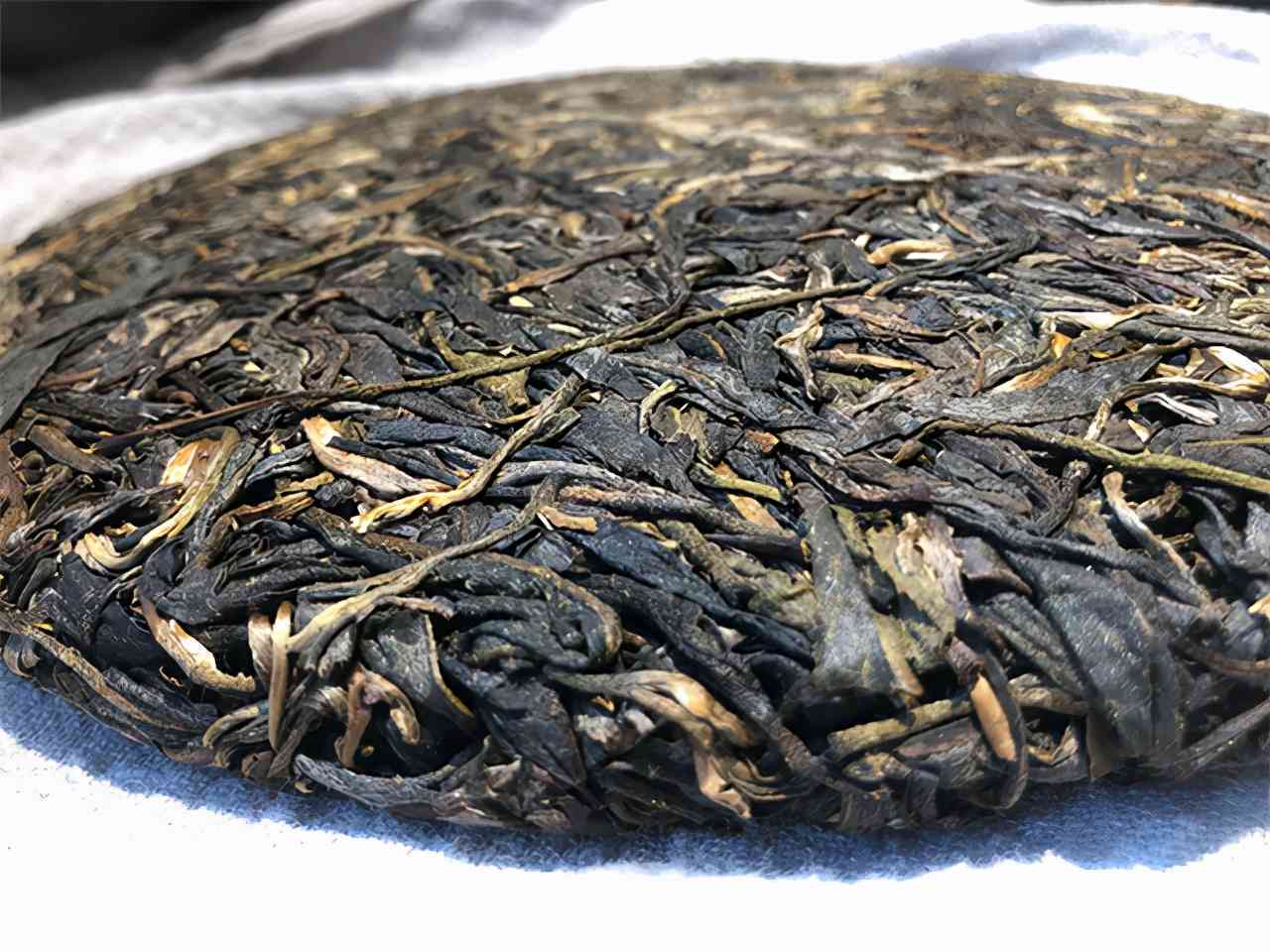 15年薄荷塘普洱茶成立二十周年