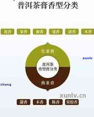 云南普洱茶的等级与档次解析：揭示普洱茶的真实含义