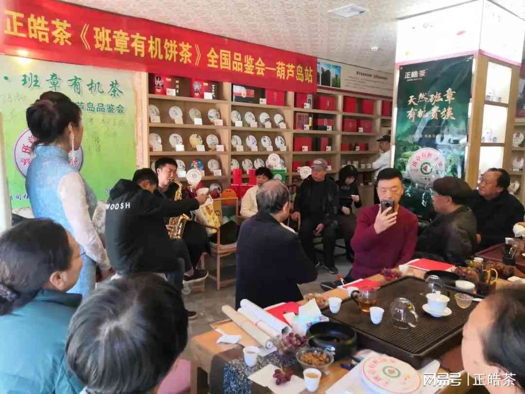 恒升号普洱茶培训会：价格与品质，探索恒印、恒春、恒及恒通号普洱茶