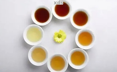 普洱茶净度：如何评估、选购及冲泡高质量普洱茶？