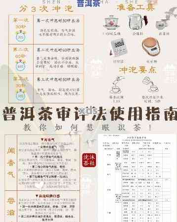 普洱茶净度：如何评估、选购及冲泡高质量普洱茶？