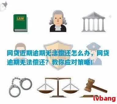 七年网贷逾期未还：探讨法律后果及解决方案