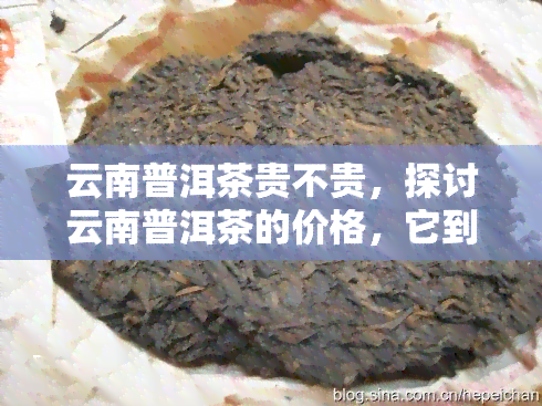 多少价格的普洱茶才没什么大问题