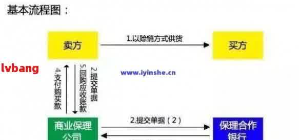 从网贷逾期到代偿款转换的全过程：时间、步骤及影响详解