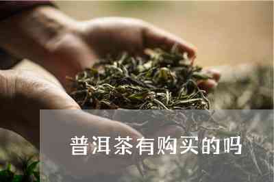 云南普洱茶厂景迈山普洱茶07年