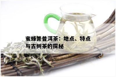 蜜蜂岩普洱茶：品种特点、产地文化与品饮技巧一览无余