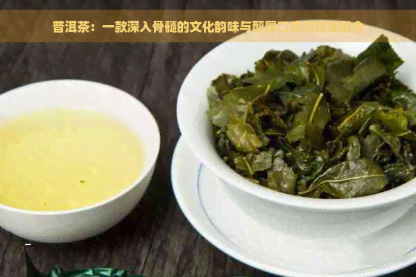 澜喝普洱茶，赞颂普洱的魅力：原生态与醇厚口感的完美融合