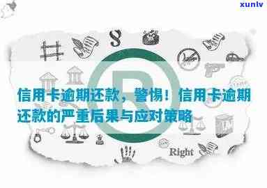 信用卡违约风险升级：严重逾期后果解读与应对策略