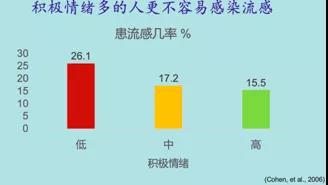 石岩玉的益处与潜在风险：全面了解它对身体的影响