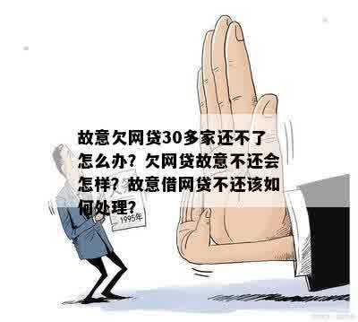 如何处理故意借网贷不还款的情况：全面解决方案与建议