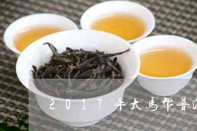 大马帮普洱茶2006年250克：品质、历与口感的全面解析