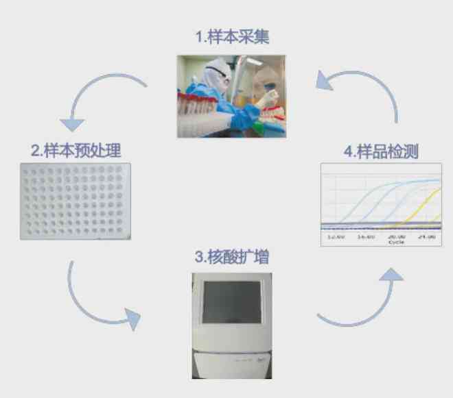 全面掌握普洱茶黄曲霉素检测方法：从原理到操作步骤详解，确保购买无忧！