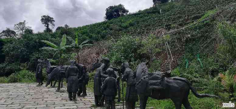 普洱茶茶马古道多少钱一盘：传说与攻略，探寻古道风景区