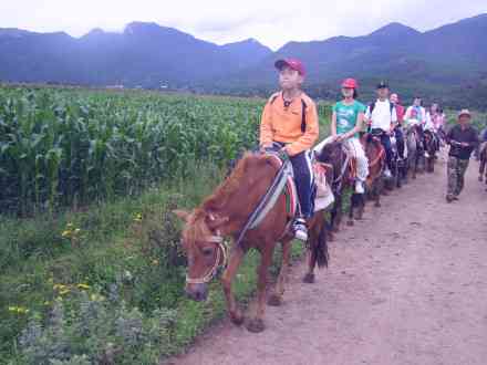 探寻云南茶马古道：一不为人知的历与文化之旅