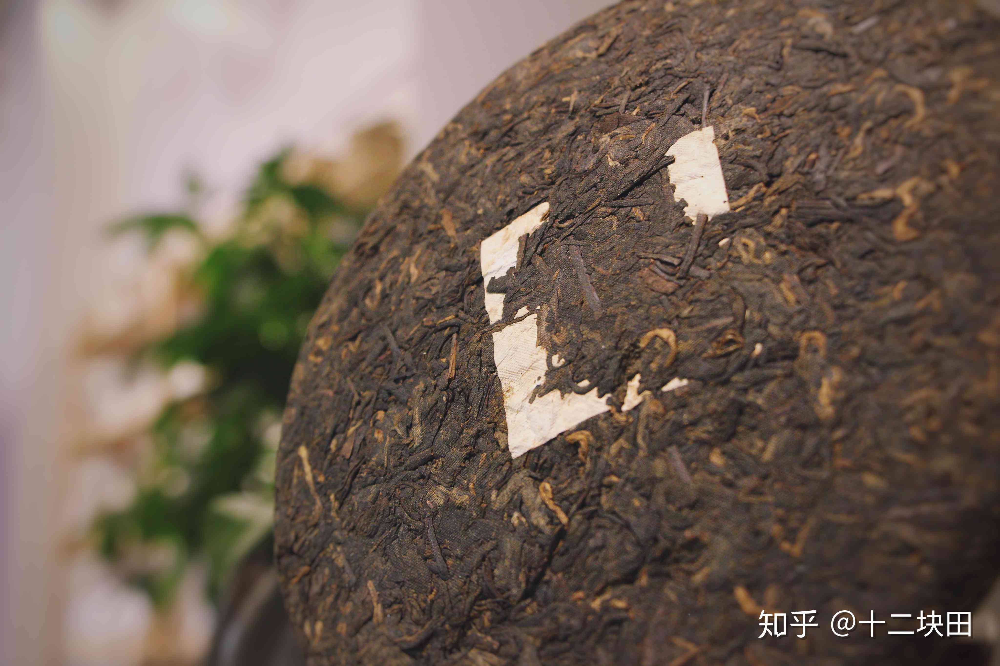 不同的熟茶普洱茶饼可以放一起吗