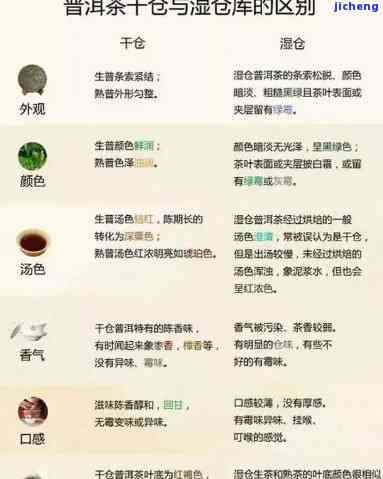 普洱泰斗茶：品鉴与选购指南，一篇全面了解普洱茶的实用文章