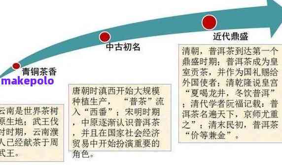 普洱泰斗茶：品鉴与选购指南，一篇全面了解普洱茶的实用文章