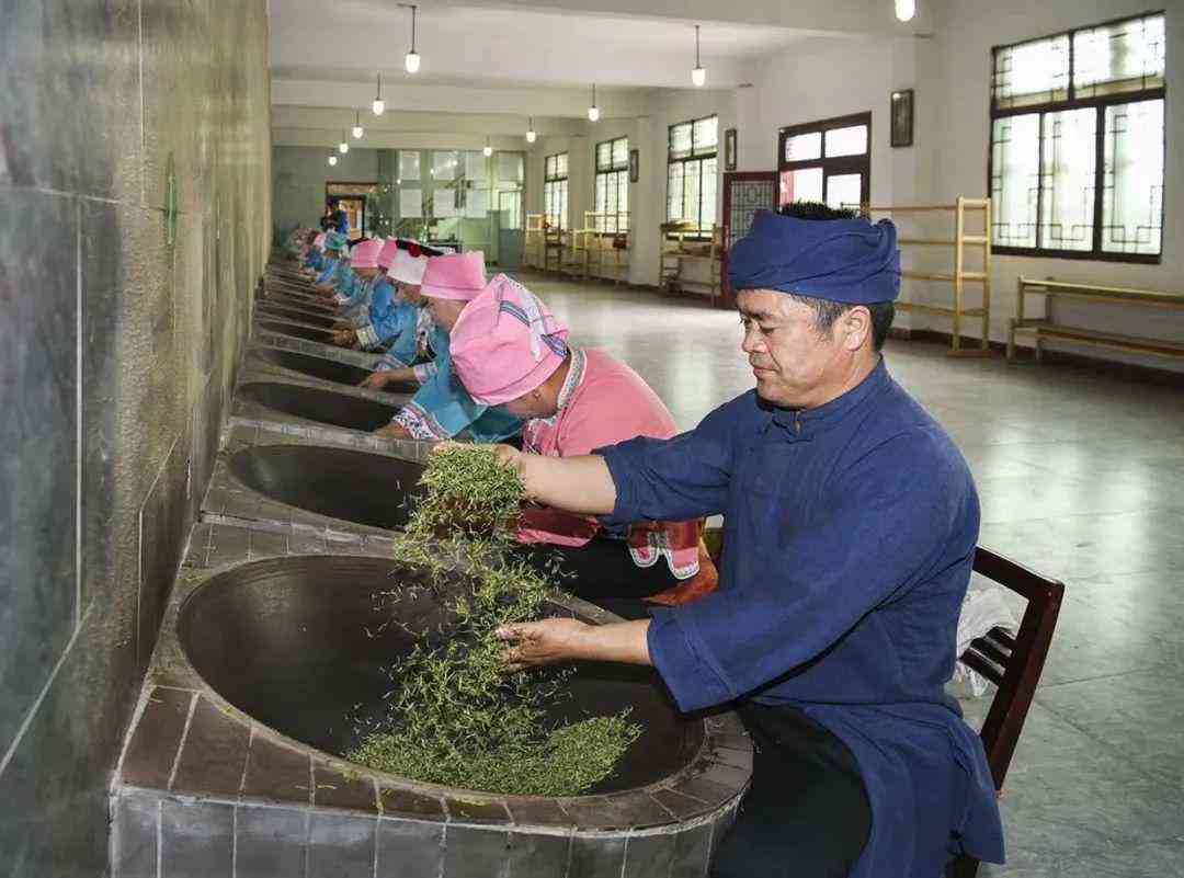 体验江西云居禅茶：一种独特的绿茶制作工艺与文化传承