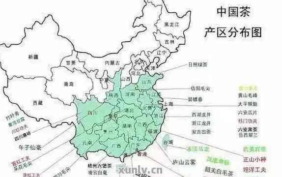 普洱茶地理与地界位置解析：普洱茶地李