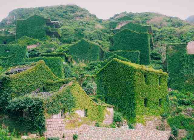 芭蕉山村：风景、文化、历与旅游指南